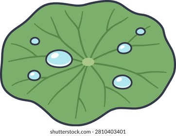 Green lotus leaf with fresh water droplets and morning dew drops vector illustration.