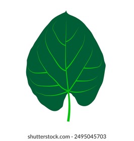 green love leaves leaf vector illustration.