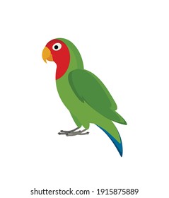 green lovebird on white background