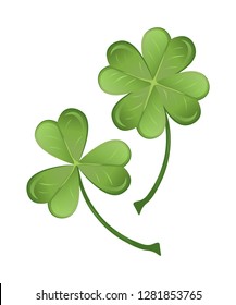 Green lucky clover isolated on white background. St. Patrick's Day, vector clipart