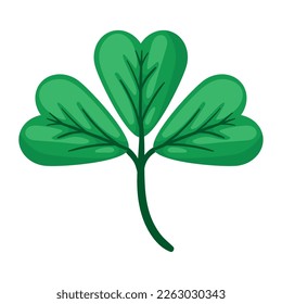 green lucky clover with three leafs
