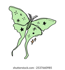 Green luna moth night butterfly colorful sketch character illustration clipart isolated on white background