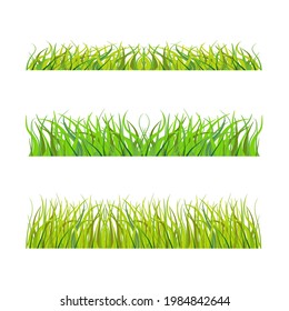 Green lush grass of juicy flowers on a white background. Vector image.