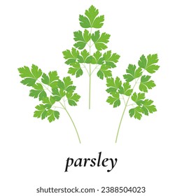 Estribillos verdes de perejil. Vector. Diseño plano.