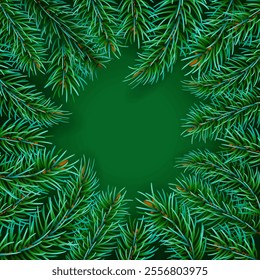 Green lush spruce branch. The branches were eating. Isolated on green vector background.