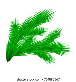 Green lush spruce branch. Isolated on white vector illustration.