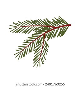 Green lush spruce or pine branch. Fir tree branch isolated on white vector christmas element.