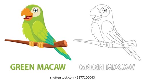 Green macaw cartoon drawing, isolated on white background