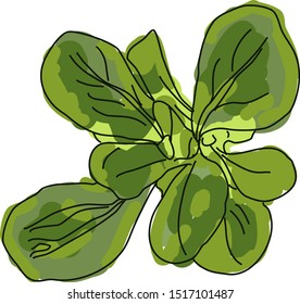 Maqueta verde, ilustración, vector sobre fondo blanco.