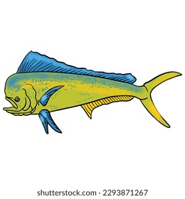 Green Mahi fish ,good for graphic design resources, posters, banners, templates, prints, coloring books and more.