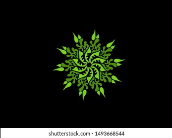 Green mandala art beautiful leaf and floral ornament luxury