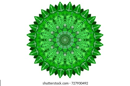 Green of Mandala. Round Ornament Pattern. Geometric circle element made in vector colorful line and white  background.
