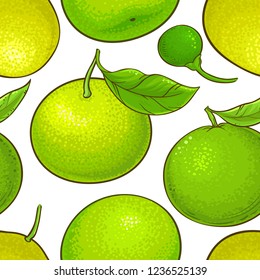 green mandarin fruit vector pattern 