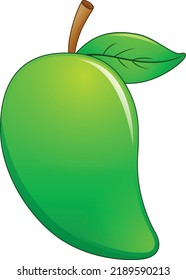 Green Mango Fruit Food Vector Drawing on white background