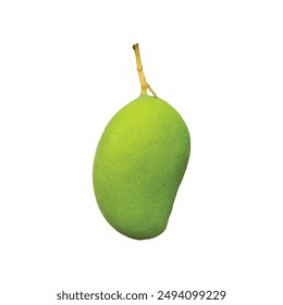 Green mango fruit isolated on a white background.