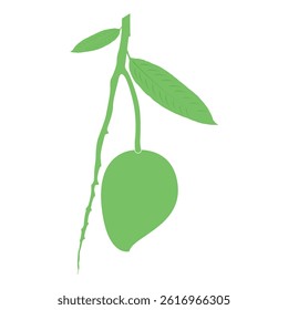green mango illustration vector green mango silhouette mango leaf.