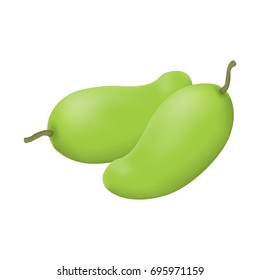Green mango isolated on white background. Vector illustration.