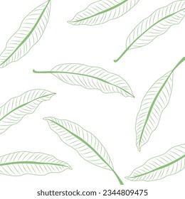 Green mango leaves line art on white background.Seamless leaf background, book cover template, natural backdrop, green leaf element. Close up. Plant wallpaper,Summer tree,