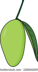 Green Mango With One Green Leaf Vector 