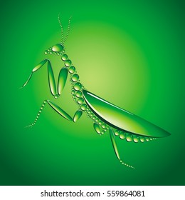 Green mantes