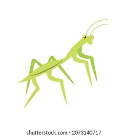 Insektenstil mit grüner Mantis