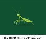 Green mantis on green background. Vector flat illustration. Large predator insect. 