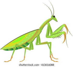 Green Mantis Vector