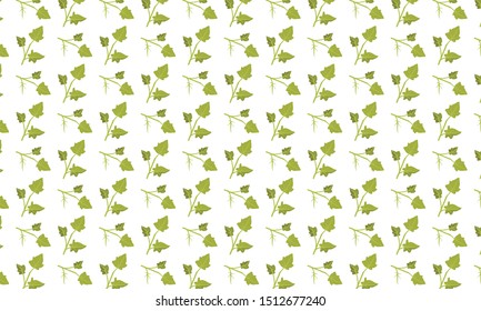 Green Lady’s Mantle Leaves Pattern Background