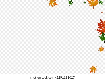 Green Maple Background Transparent Vector. Leaves Giving Pattern. Golden Abstract. National Template. Yellow Leaf Design.