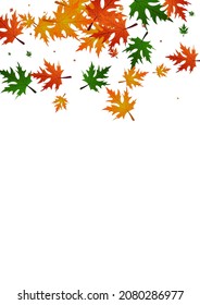 Green Maple Background White Vector. Floral Realistic Frame. Golden Wallpaper. Shape Pattern. Orange Leaf Forest.