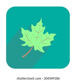 Green maple leaf icon