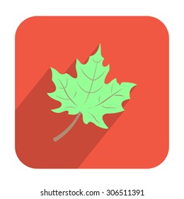 Green maple leaf icon