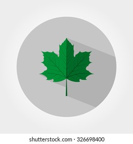 Green maple leaf. Icon for web and mobile application. Vector illustration of a button with a long shadow. Flat design style.