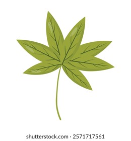 Green maple leaf illustration with detailed veins and a clean, natural design. Suitable for botanical projects, eco-friendly designs, and nature-themed decorations