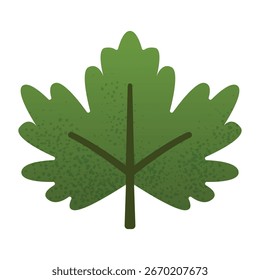 Ilustração de folha de bordo verde com detalhes texturizados e estilo simples plana. Símbolo botânico natural para os conceitos de design ecológico, florestal e orgânico.