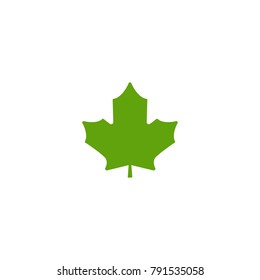 Green maple leaf with little stem.  Vector icon. Isolated on white.  single leaf silhouette. Nature vector symbol. Clip art. 