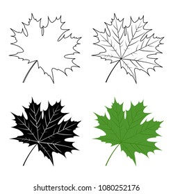 Green maple leaf. Silhouette maple leaf isolated on white background. Vector illustration.