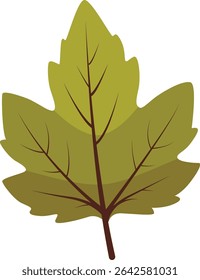 Green maple leaf vector with clear veins and smooth edges, perfect for botanical illustrations, nature-themed projects, posters, crafts, and fresh natural decorations.