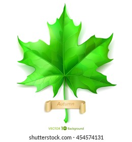 Green maple leaf. Vector eps 10.
