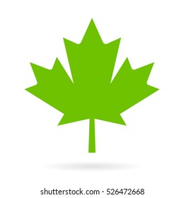 Green maple leaf vector icon  Maple leaf clip art 