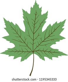 574,403 Green maple leaf Images, Stock Photos & Vectors | Shutterstock