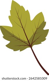Green maple leaf vector illustration with soft edges, suitable for nature-themed projects, greeting cards, posters, scrapbooking, seasonal crafts, and botanical decorations.