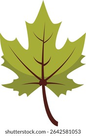 Green maple leaf vector illustration with clear veins, perfect for nature-themed projects, posters, greeting cards, botanical designs, crafts, scrapbooking, and fresh decorations.


