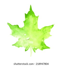 Green maple leaf in watercolor style