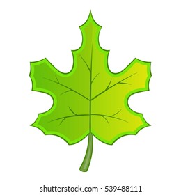 Green maple leave icon. Cartoon illustration of green maple leave vector icon for web