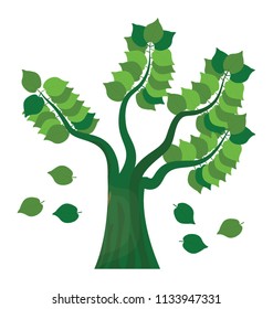 
Green maple leaves falling, autumn season
