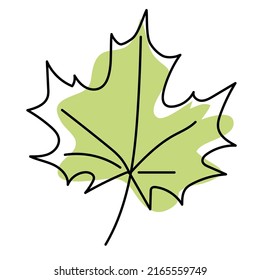 Green maple leaves isolated on white background. Leaves in linear art with the addition of colored spots. Vector illustration.