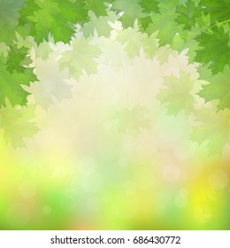 Green maple leaves on blurry background with sun rays. Vector illustration.