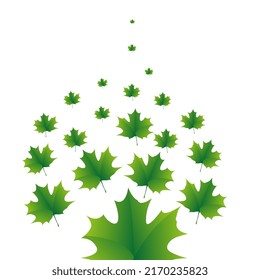 The green maple leaves pattern on white background