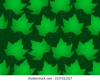 Green maple leaves pattern. Realistic maple leafs on green vector background.